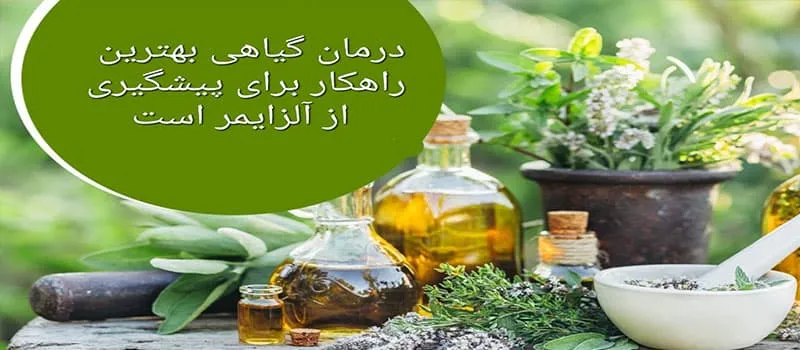 درمان گیاهی آلزایمر